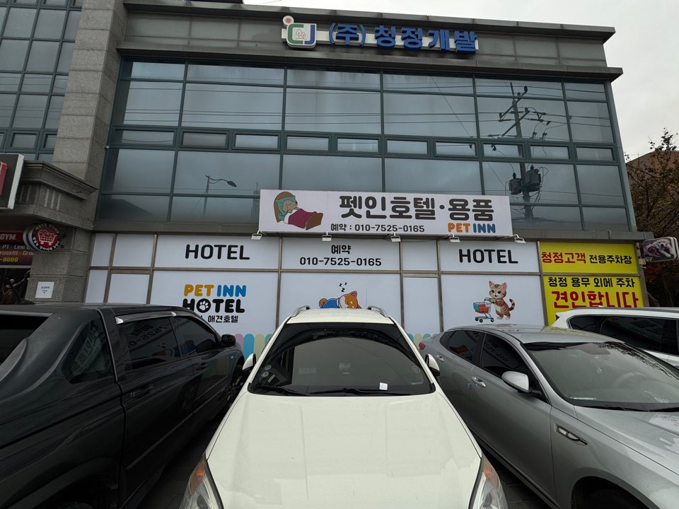 2948748041_jTeAzFKP_2dd832b48b8511f6e8af4735a312f9223f5ee4cf.jpg 이미지크게보기