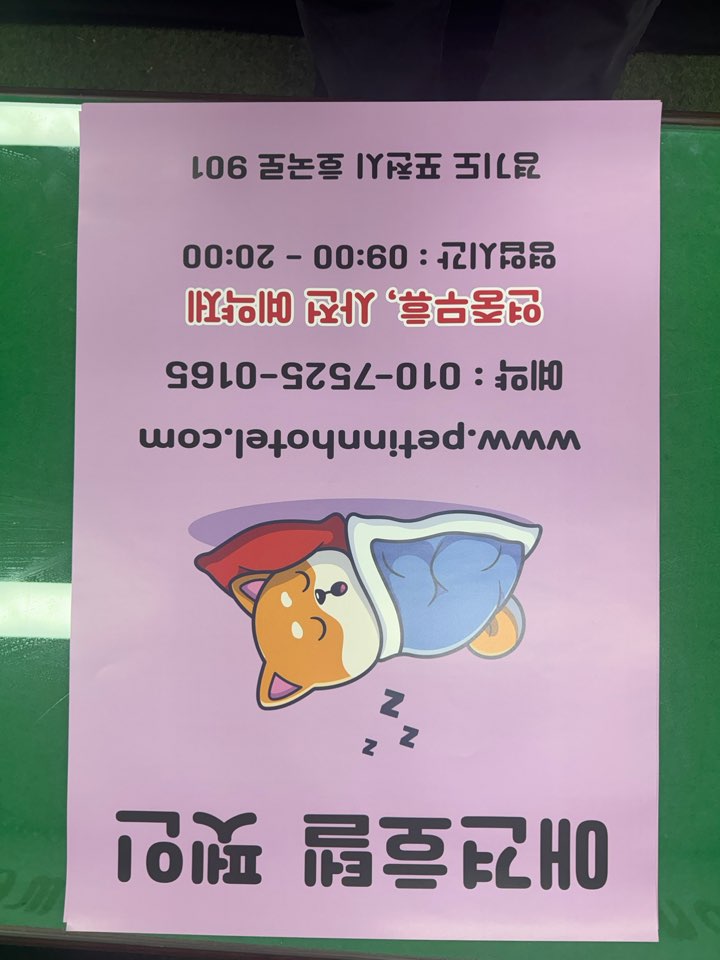 2040808122_GHe1XaAr_662ad77010444cdb95213601a34802fcb04ded46.jpg 이미지크게보기