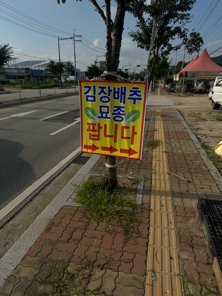 2038743871_nhqwaekb_91e9fa29caa2b6f48309df4d9ef8314a07d2b095.jpg 이미지크게보기