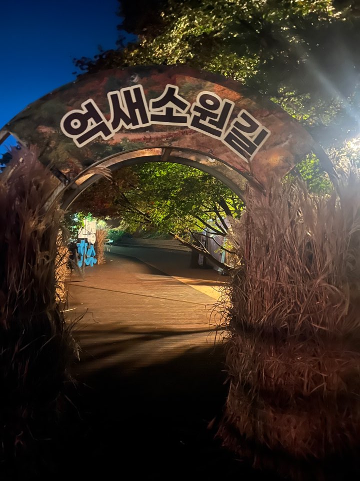 2038743871_wsxh2gDf_4e02d855ebfac68fe1ea6cdeaddd29981860724f.jpg 이미지크게보기