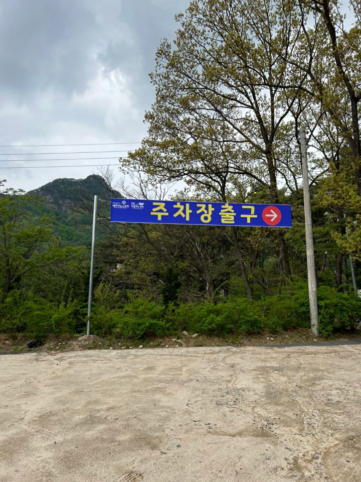 2106514169_NvY1uVoO_72cd25e6872900903769a01502b7deb1133bade1.jpg 이미지크게보기