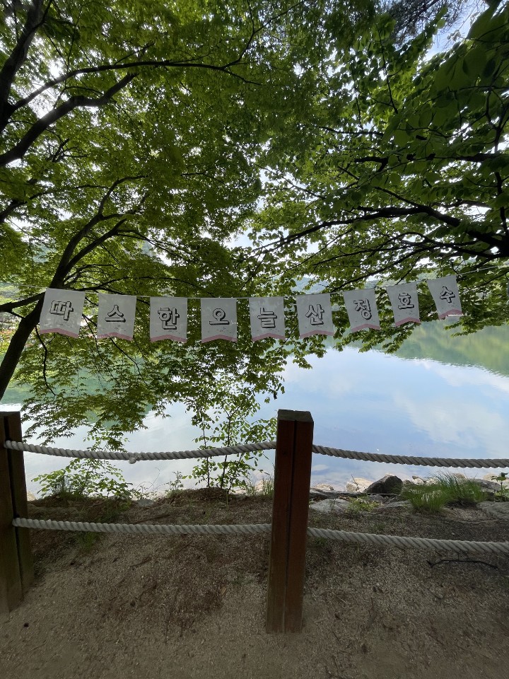 3716820119_l4oYVn6O_df8b80f5c7222927007e549d55f0fd4109664fc5.jpg 이미지크게보기