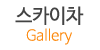 스카이차