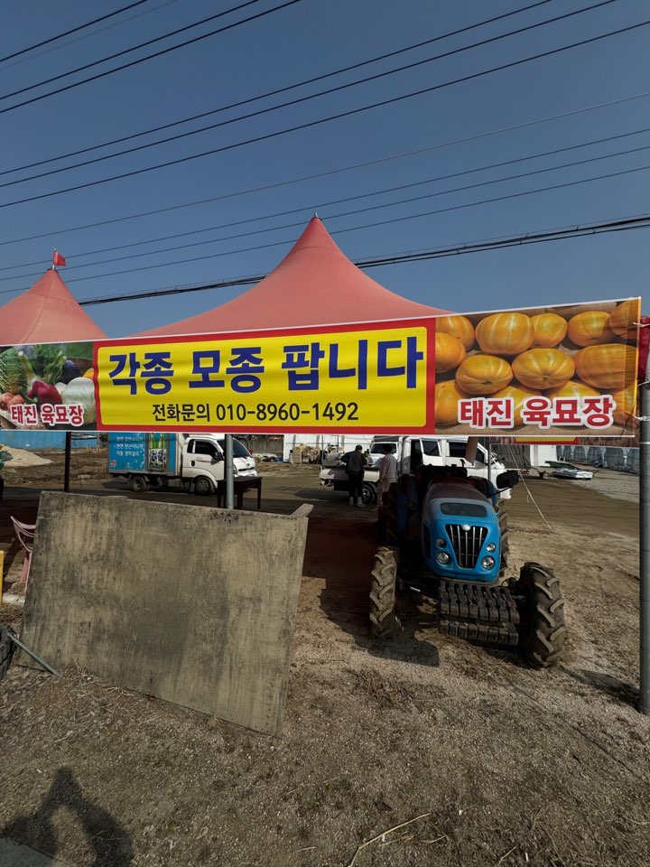 /user/d/designraum/editor/2504/f2c0835edb809d5247c847c6bd29421a_1743743508_2426.jpg 이미지크게보기