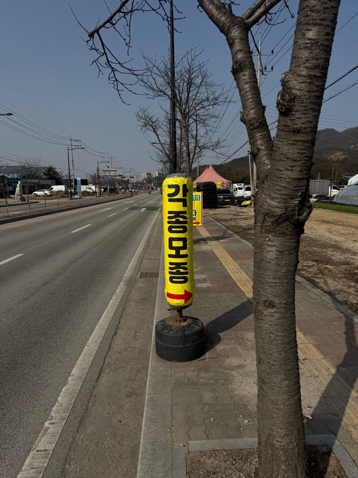 /user/d/designraum/editor/2504/f2c0835edb809d5247c847c6bd29421a_1743743508_7538.jpg 이미지크게보기