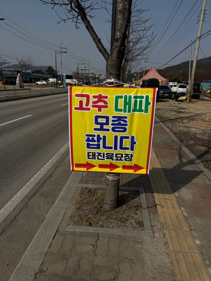 /user/d/designraum/editor/2504/f2c0835edb809d5247c847c6bd29421a_1743743508_9893.jpg 이미지크게보기