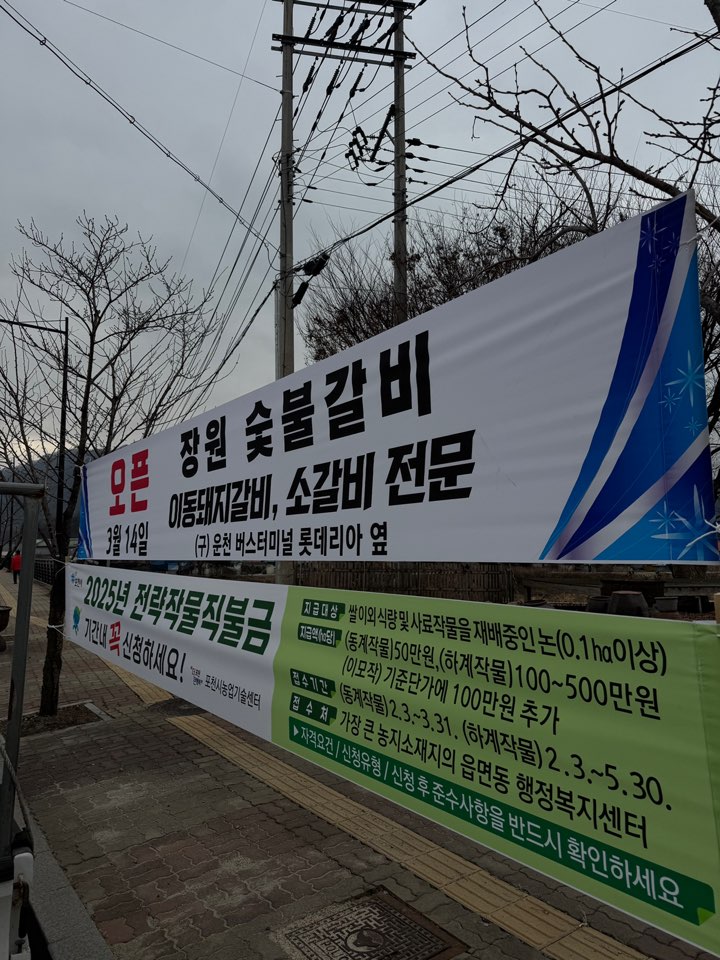/user/d/designraum/editor/2504/f2c0835edb809d5247c847c6bd29421a_1743743540_8135.jpg 이미지크게보기