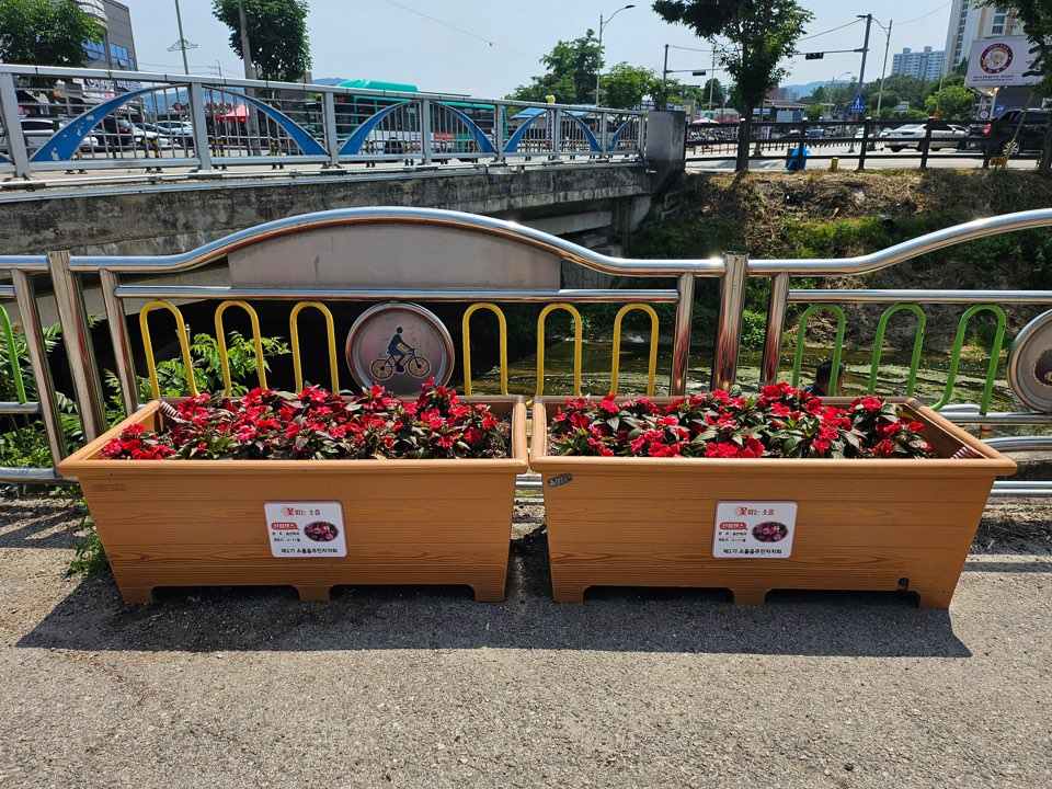 /user/d/designraum/editor/2506/1496ecf777a3b911875c78ff2d4f2b8f_1750724789_8027.jpg 이미지크게보기